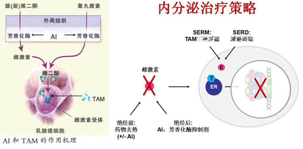 QQ截图20210107175409.jpg